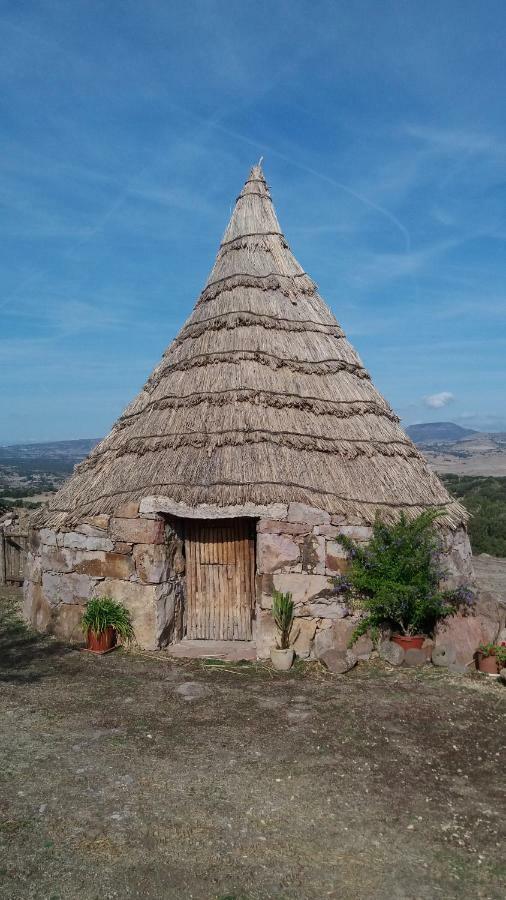 Agriturismo Sa E Padedda Mores 外观 照片